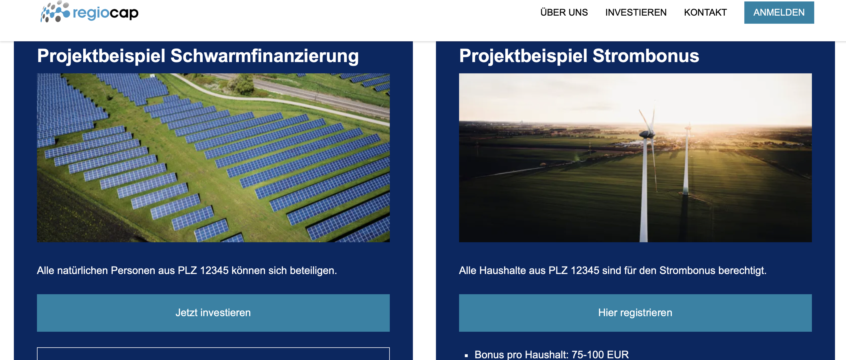 Projektentwickler Stadtwerke & EVU Bürgerwindparks Genossenschaften Schwarmfinanzierung White-Label-Plattform